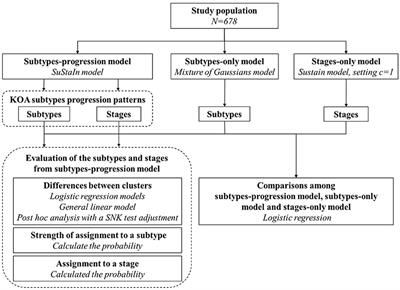 Identifying the Phenotypic and Temporal Heterogeneity of Knee Osteoarthritis: Data From the Osteoarthritis Initiative